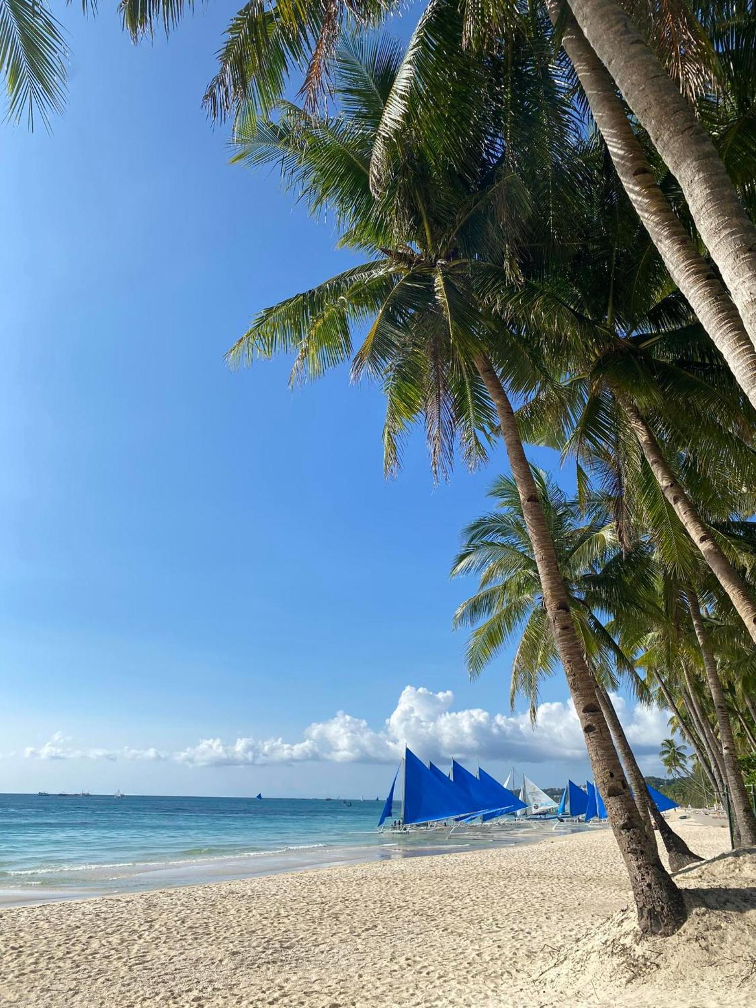 Areca Boracay *