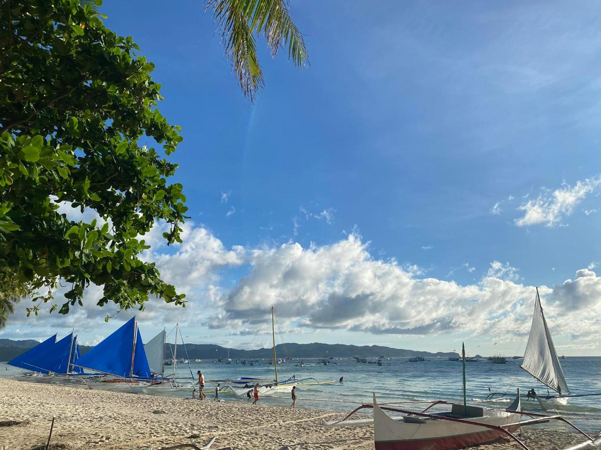 Areca Boracay Manoc-Manoc