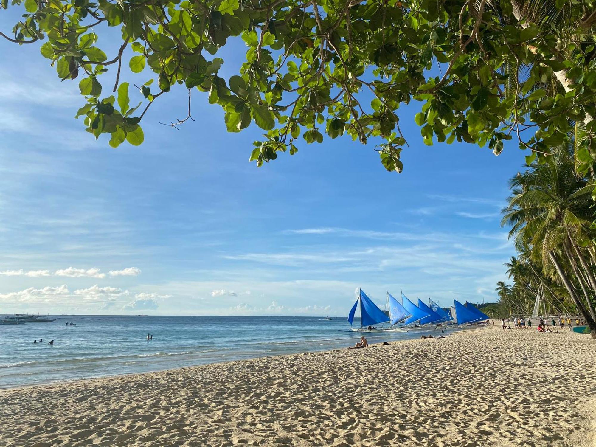Areca Boracay *
