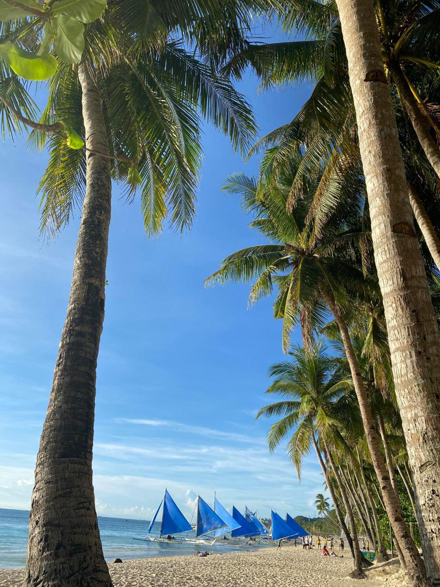 Areca Boracay Manoc-Manoc